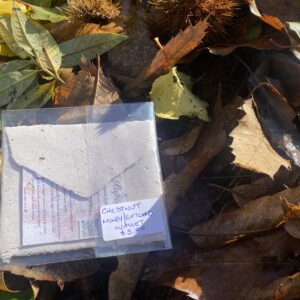 Handmade Chestnut Paper Gift Card Wallet– 100% Recycled & Sustainably Crafted