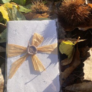 Handmade Chestnut Paper-4x6 10pk– 100% Recycled & Sustainably Crafted