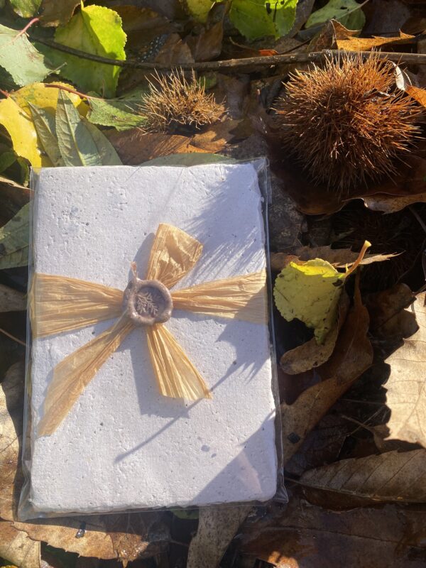 Handmade Chestnut Paper-4x6 10pk– 100% Recycled & Sustainably Crafted
