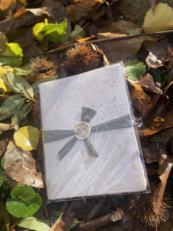 Handmade Chestnut Paper A5 10pk– 100% Recycled &Sustainably Crafted